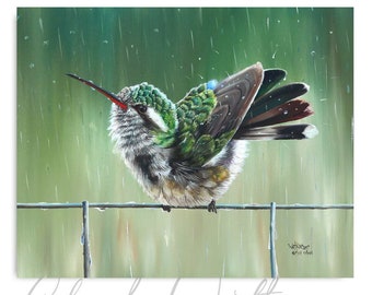 Splish Splash Hummingbird Art, Hummingbird decor and gifts, Hummingbird in the rain art print.