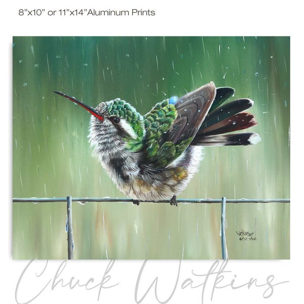 Hummingbird Art Etsy