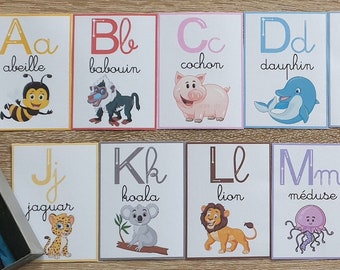 Animal alphabet / alphabet cards