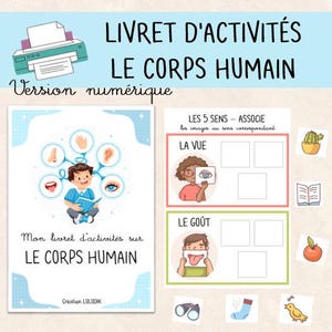 PDF - Human Body Activity Booklet - Human Body Learning Booklet - Kindergarten - Digital File