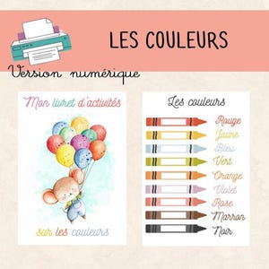 PDF - Colors Activity Booklet - Kindergarten Entry Activities - Digital File
