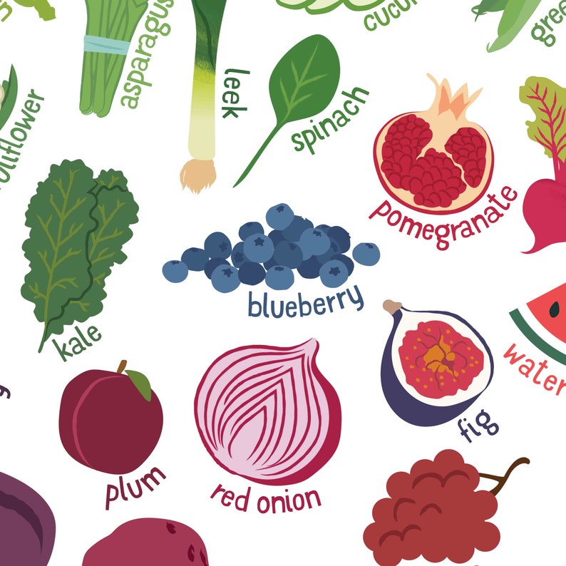 Cartel de frutas y verduras, impresión de alimentos saludables, comer el arco iris, decoración del aula, arte de la escuela en el hogar, IMPRESIÓN: 8x10, 12x16, 16x20, 18x24, 24x36 imagen 6