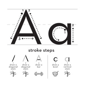 May include: Black and white illustration showing the stroke order for writing the uppercase and lowercase letters A and a. The illustration includes a numbered guide for each letter and a visual representation of each stroke.