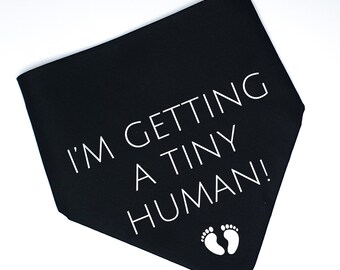 tiny dog accessories