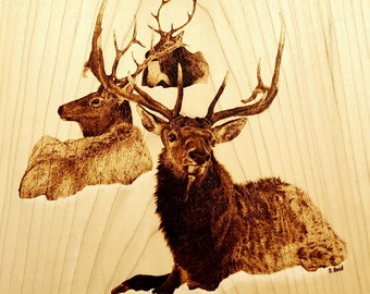 Bull Elk Drawing Etsy