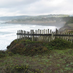 Sea Ranch California Photo, Digital Download, Sonoma Coast Photo, Sonoma Headland, Sea Ranch Printable Art