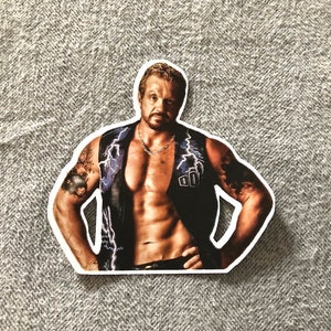 DDP Sticker [Hulk Hogan - Ric Flair - Randy Savage - Ultimativen Krieger - Bret Hart - njpw - tna]