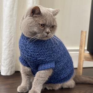 Kitten sweater clearance