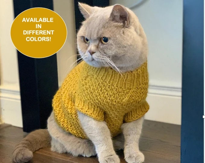 Kitten sweater outlet