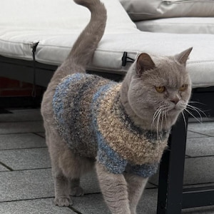 Könnte beinhalten: Eine graue Katze mit einem blau, beige und grau gestreiften Pullover steht auf einer grauen Fliesenoberfläche. Die Katze blickt nach rechts, der Schwanz ist nach oben gebogen. Im Hintergrund ist ein weißes Outdoor-Sofa zu sehen.