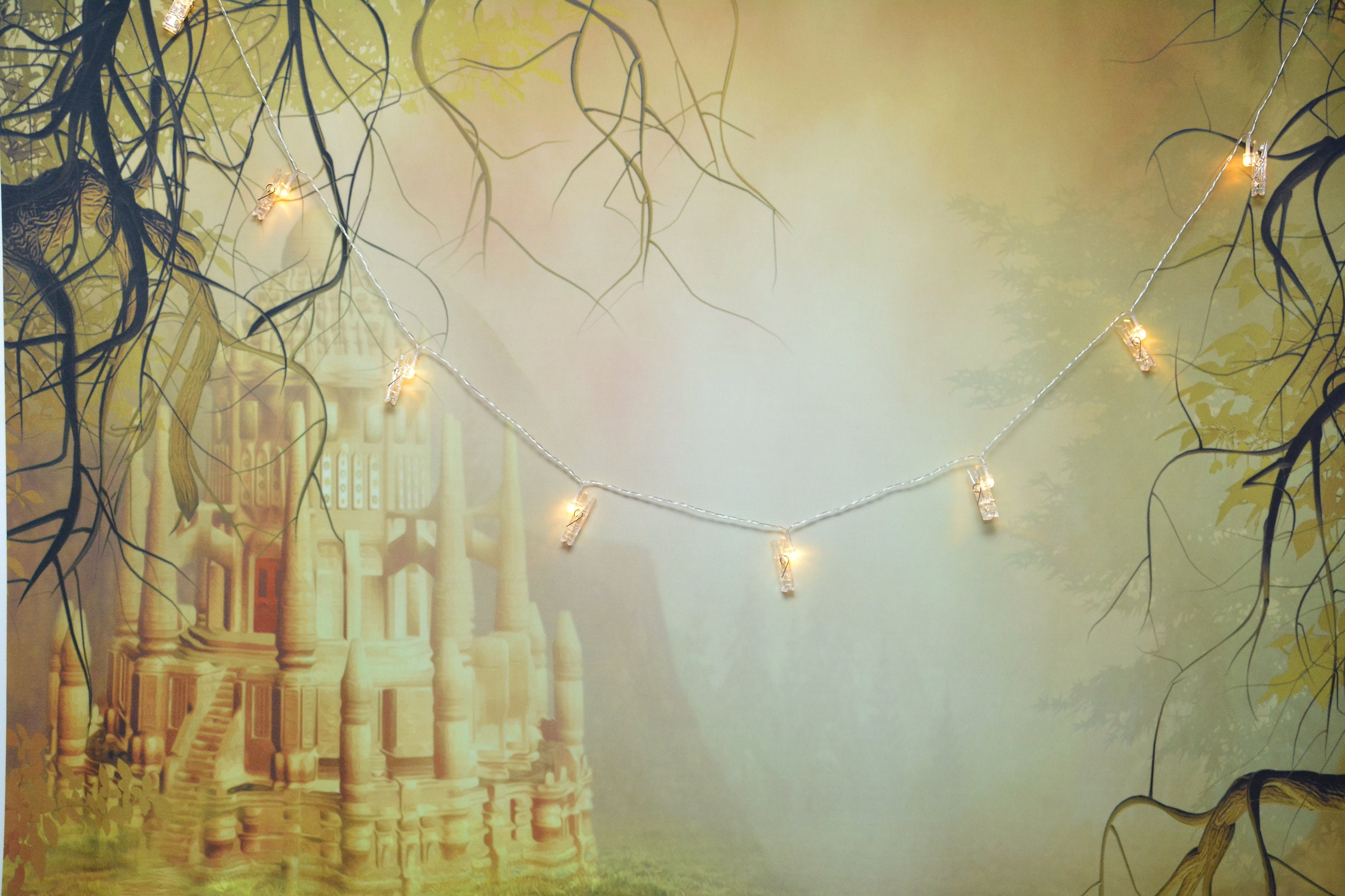 String Lights Fairy Lights Picture Frame Collage Wedding Led Etsy