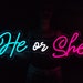 He or She Neon Sign, Baby Shower Led Light, Gender Reveal Party ...
