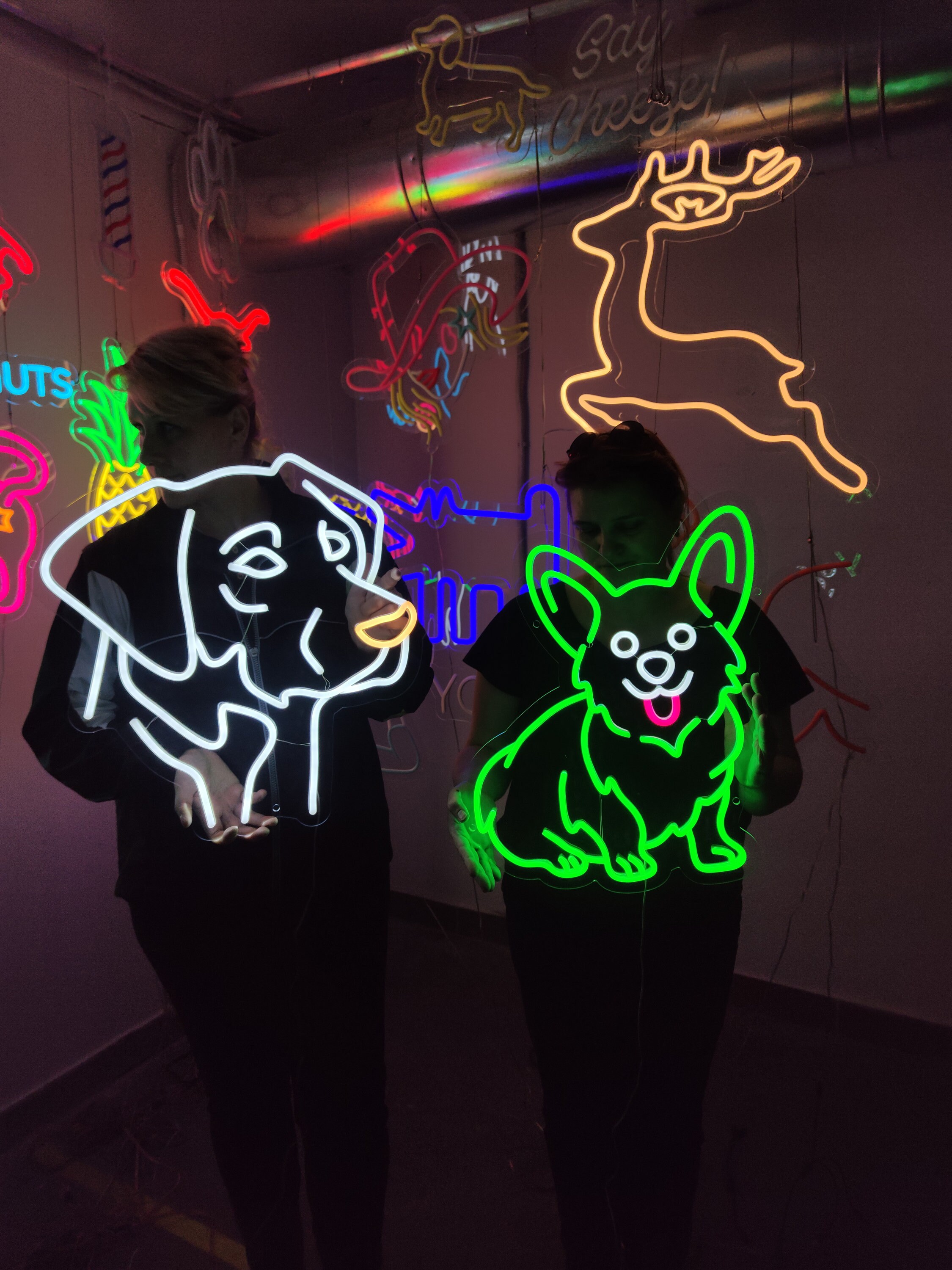 コーギーのネオンサイン、犬のLEDサイン、かわいいコーギーのライト