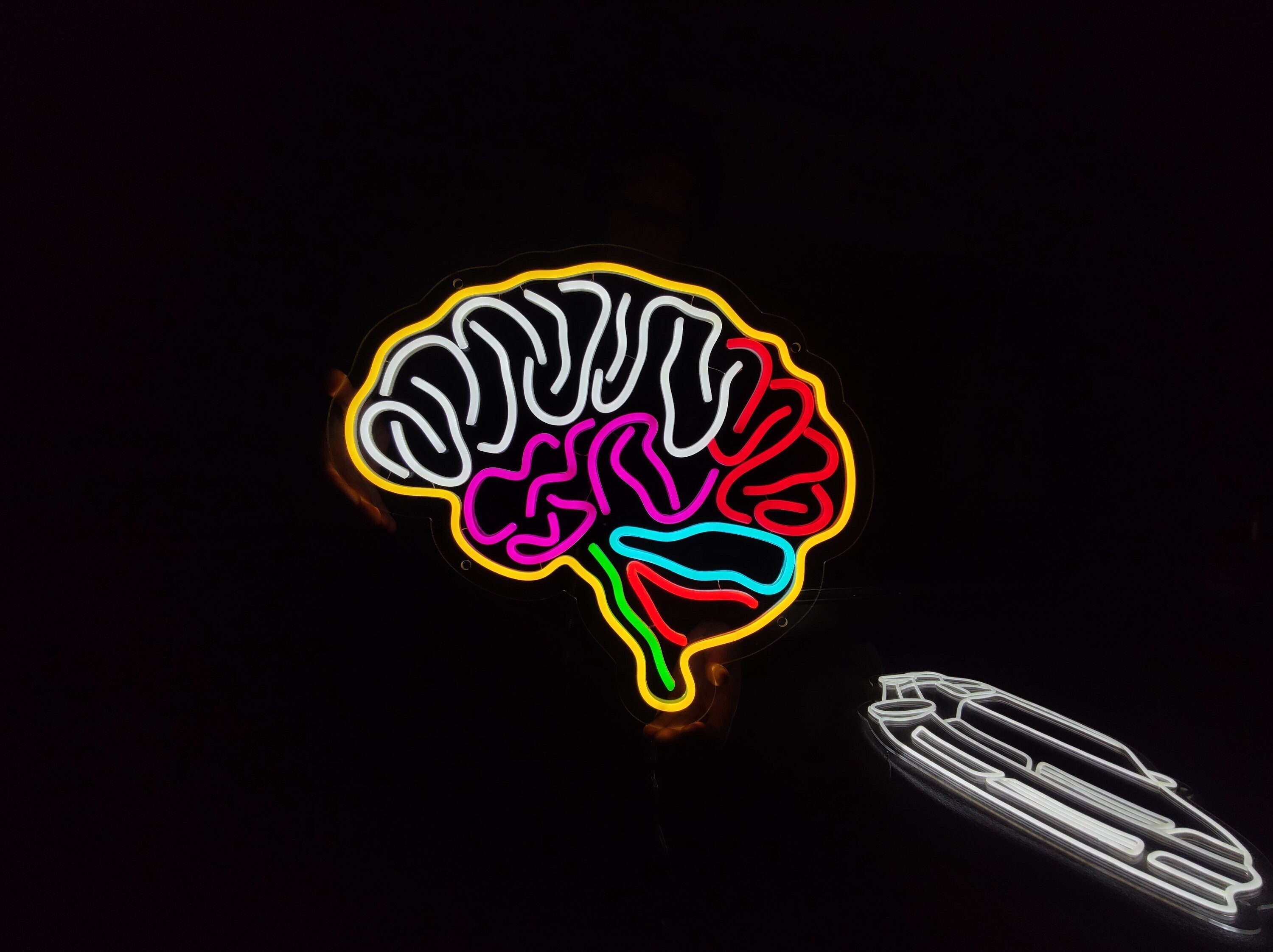 Brain Neon Sign, Human Brain Led Sign, Human Organ Decor Led Light ...