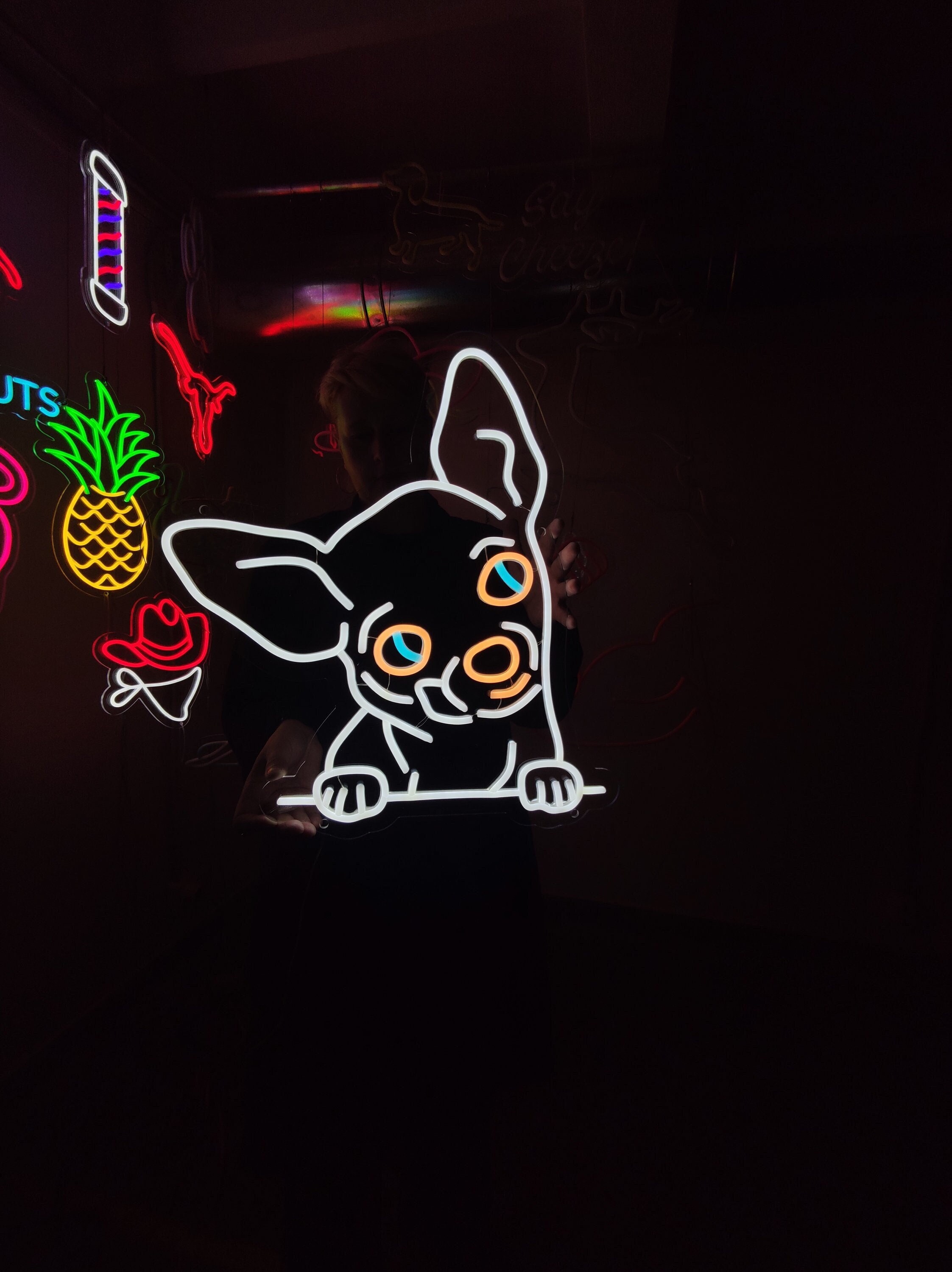 Chihuahua Neon Sign, Dog Led Sign, Pet Shop Decor Led Light