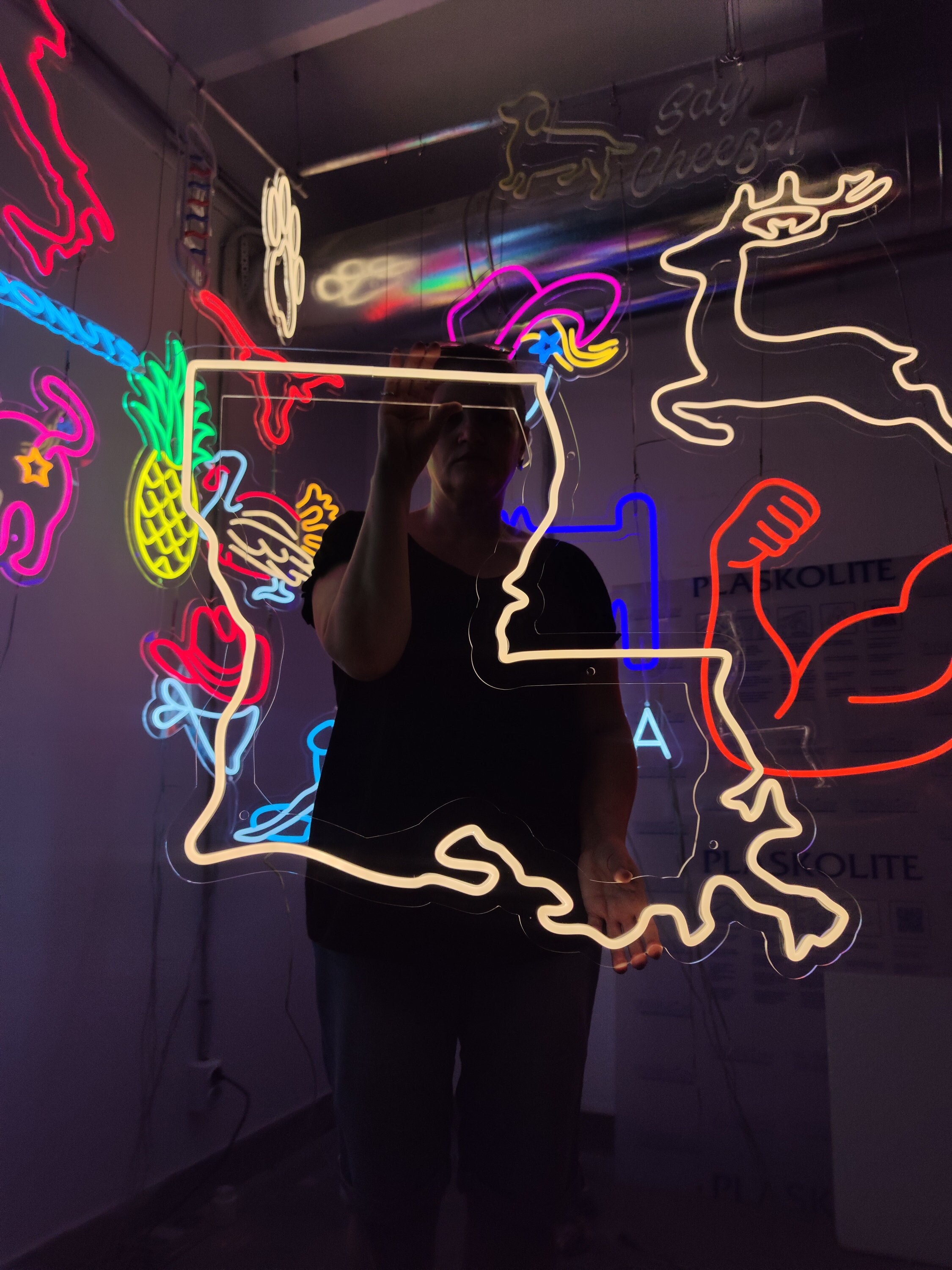 Louisiana Map Neon Sign, State of the United States of America Led