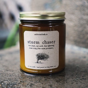 Storm Chaser Soy Wax Candle | Thunderstorm Candle | Wet Earth, Patchouli, Sandalwood, Ozone | Petrichor Candle | Amber Jar Candle