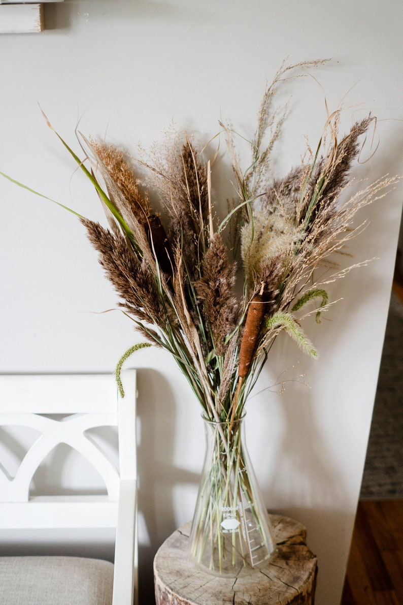 Natural Dried Grass Bundle Reed Plume Fluffy Pampas Grass Etsy