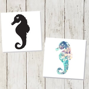 Seahorse decal