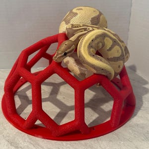 PETG Reptile Jungle Gym w/ Mounting Base - Enrichment for Snakes & Lizards (Red)