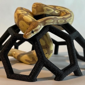 May include: A ball python rests on a black, geometric, 3D-printed stand. The snake displays a pattern of tan, brown, and cream colors. The stand has a hexagonal design with multiple legs, creating a modern aesthetic.