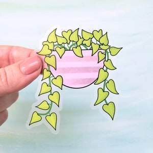 May include: A clear sticker of a hanging plant with heart-shaped leaves in a pink striped pot.