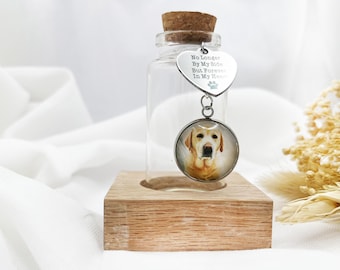 Pet Fur Bottle, Dog Fur Memorial keepsake, Bottle for Pet Hair - No Longer By My Side, But Forever In My Heart