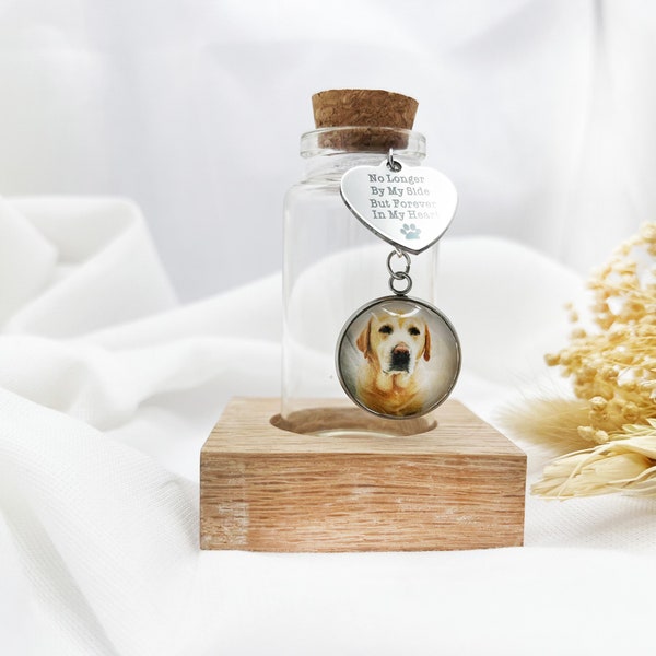 Pet Fur Bottle, Dog Fur Memorial keepsake, Bottle for Pet Hair - No Longer By My Side, But Forever In My Heart