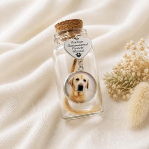 Puede incluir: Una botella conmemorativa de vidrio transparente con un tapón de corcho, que contiene un mechón de pelo y una foto de un labrador dorado. Un dije plateado en forma de corazón dice "Forever Remembered Forever Missed."