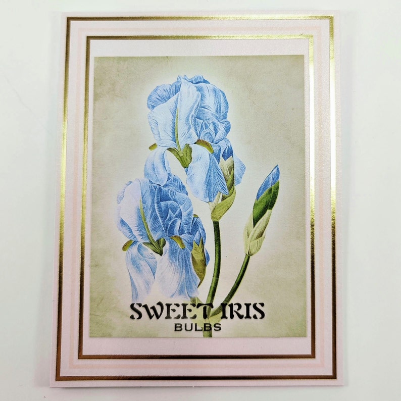 Floral Notecard set Floral stationary Botanical Stationary Botanical cards Spring cards Hello Spring Notecards Stationary gift set