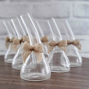 May include: Five clear glass bottles with a unique curved shape and a narrow neck. Each bottle is decorated with a brown burlap bow.