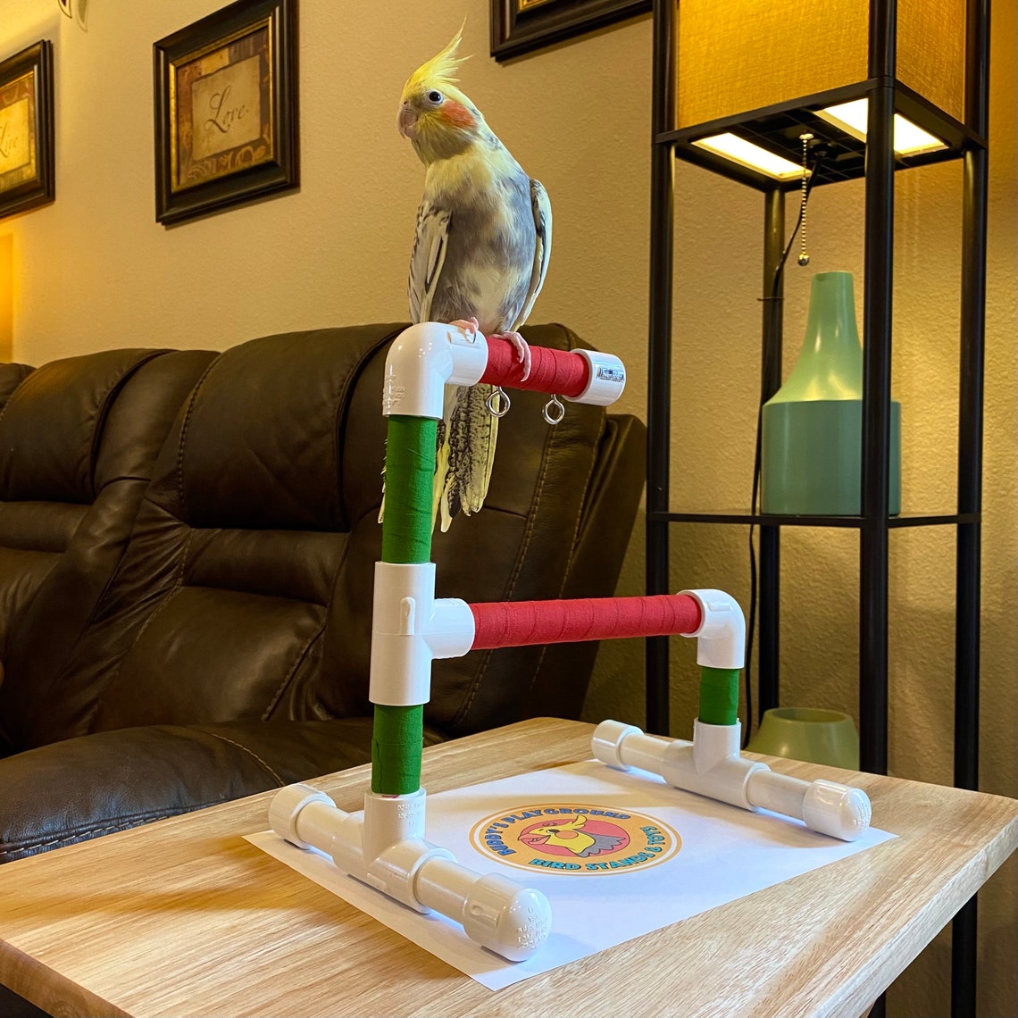 Bird Desk Training Perch Etsy