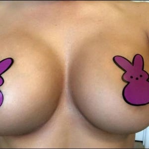 Easter  bunny nipple pasties