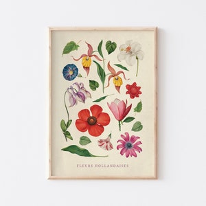 Vintage druckbare Poster, botanische Illustrationen Wanddruck, digitaler Download, Holländische Blumen Lernposter, bunter Druck