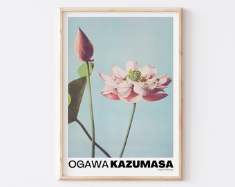 Vintage Lotus Flower Print, Ogawa Kazumasa, Japanese Photography Poster