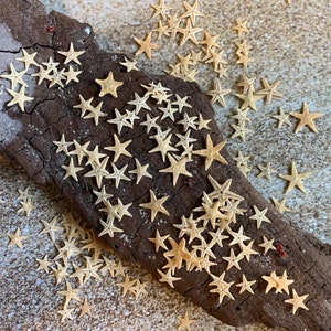 Tiny Starfish 1/4"-3/4"- Star Fish - Craft Supply - Beach Wedding Favors - Wedding Decor - Bulk - Seashell - Gift - Crafting