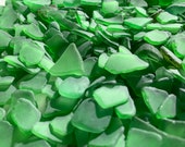 Green Sea Glass Authentic from Florida Beaches Real Tumbled Beach Glass Bulk 5-300 Pieces Seaglass FREE SHIPPING