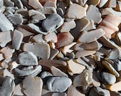 Brown Sea Glass Authentic from Florida Beaches Real Tumbled Beach Glass Bulk 5-300 Pieces Seaglass FREE SHIPPING