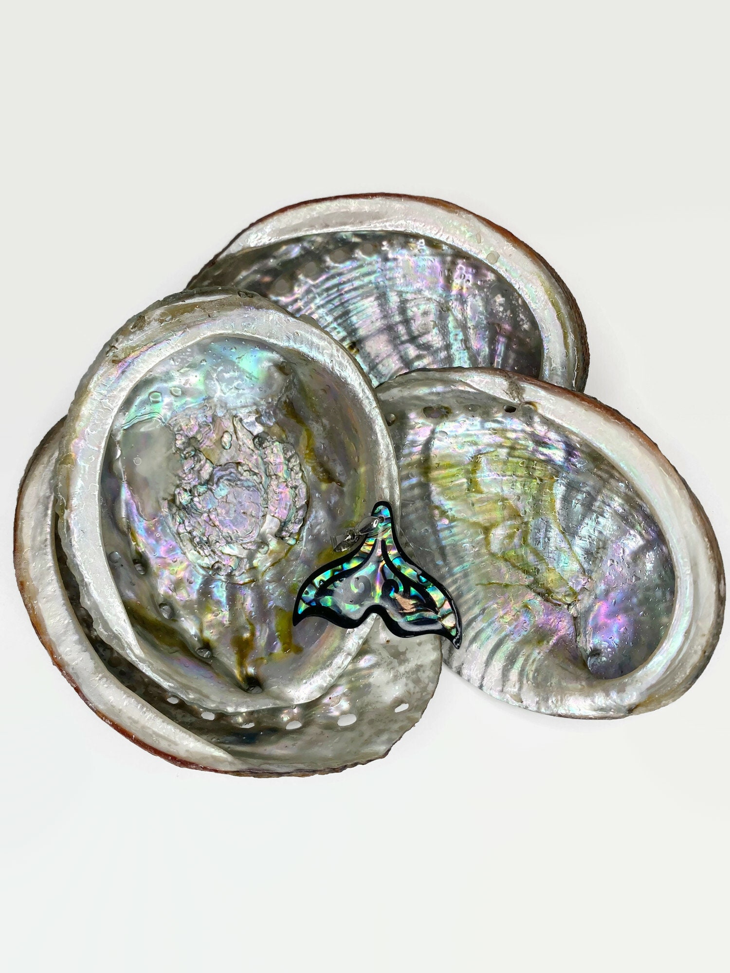 MAGICLULU 10pcs Assorted Color Abalone Shell Mermaid Tail Charms For Jewelry Making, DIY Pendant Decoration For Necklaces, Bracelets, Crafts