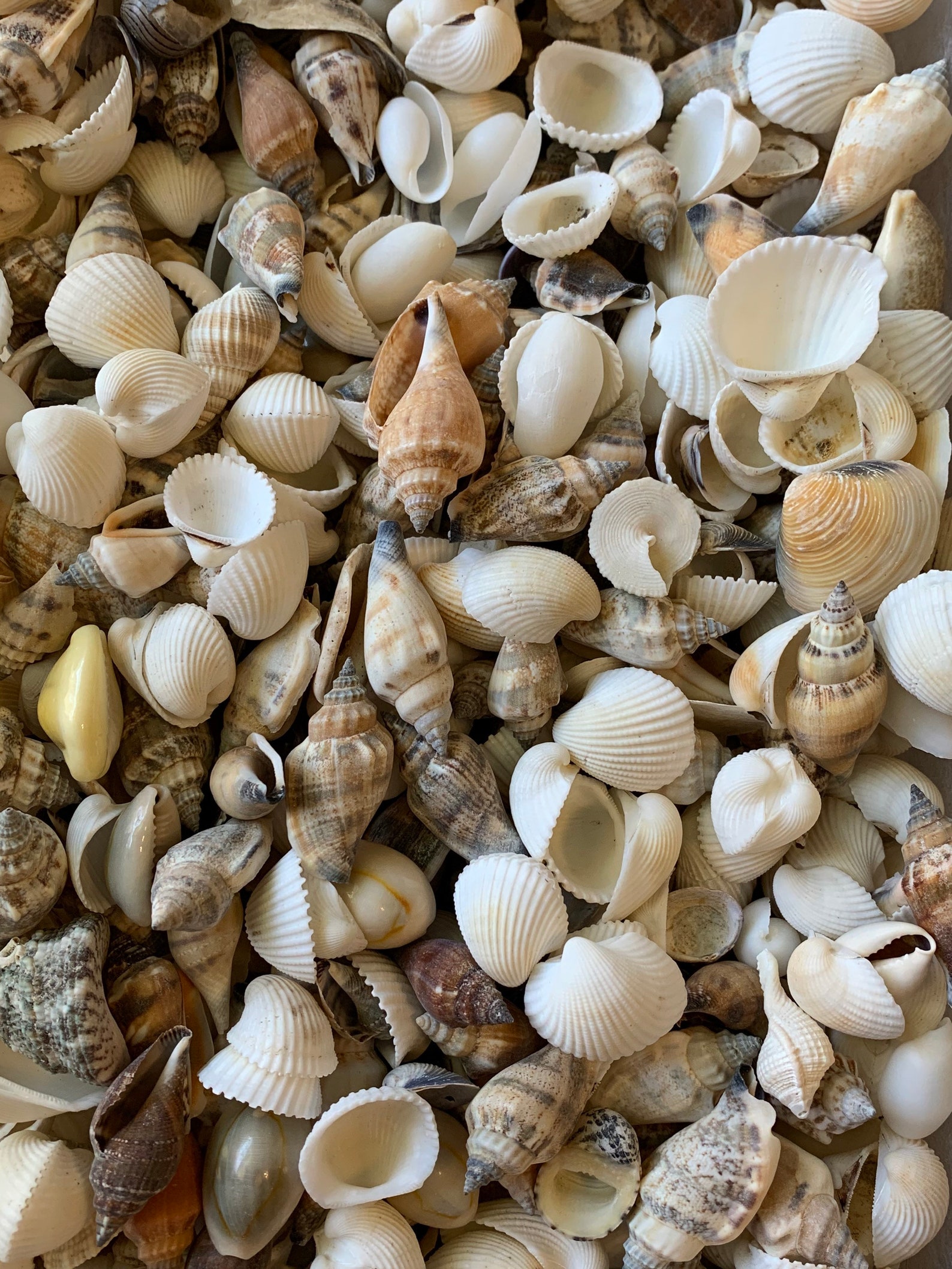 Shell Mix-1/2