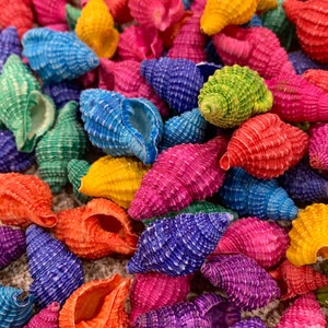 May include: A collection of colorful seashells painted in various shades of blue, green, pink, purple, orange, and yellow. The shells are arranged in a random pattern and are all facing the same direction.