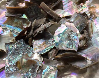 Broken Abalone Chips-Abalone-Crafting Abalone-Bulk-Craft Seashells-Jewelry Shells-Wedding-Mosaics-Crafting Supplies-Shells