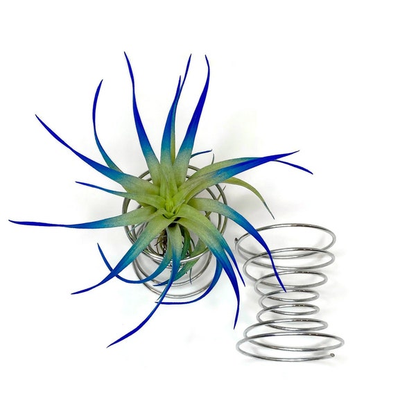 Air Plant Holder, Air Plant Display, Art, Air Plant, Home Decor, Beach Wedding Decor, Decorative Tillandsia Holder, Stainless Steel Stand