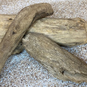 Florida Driftwood 6”-8”, Handpicked, DriftWood Decor, Great for Crafting, Art, Air Plant, Home Decor, Beach Wedding Decor, FREE SHIPPING!