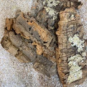 Cork Bark, Air Plant Display, Natural Cork Bark, Great for Crafting, Art, Air Plant, Home Decor, Beach Wedding Decor