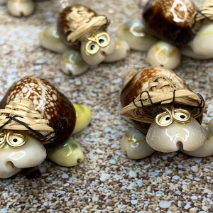 Seashell Cowrie Turtle Shell Tiny Turtle Made from Cowry Sea Shell Wedding and Beach Decor, Baby Cowrie Turtle!