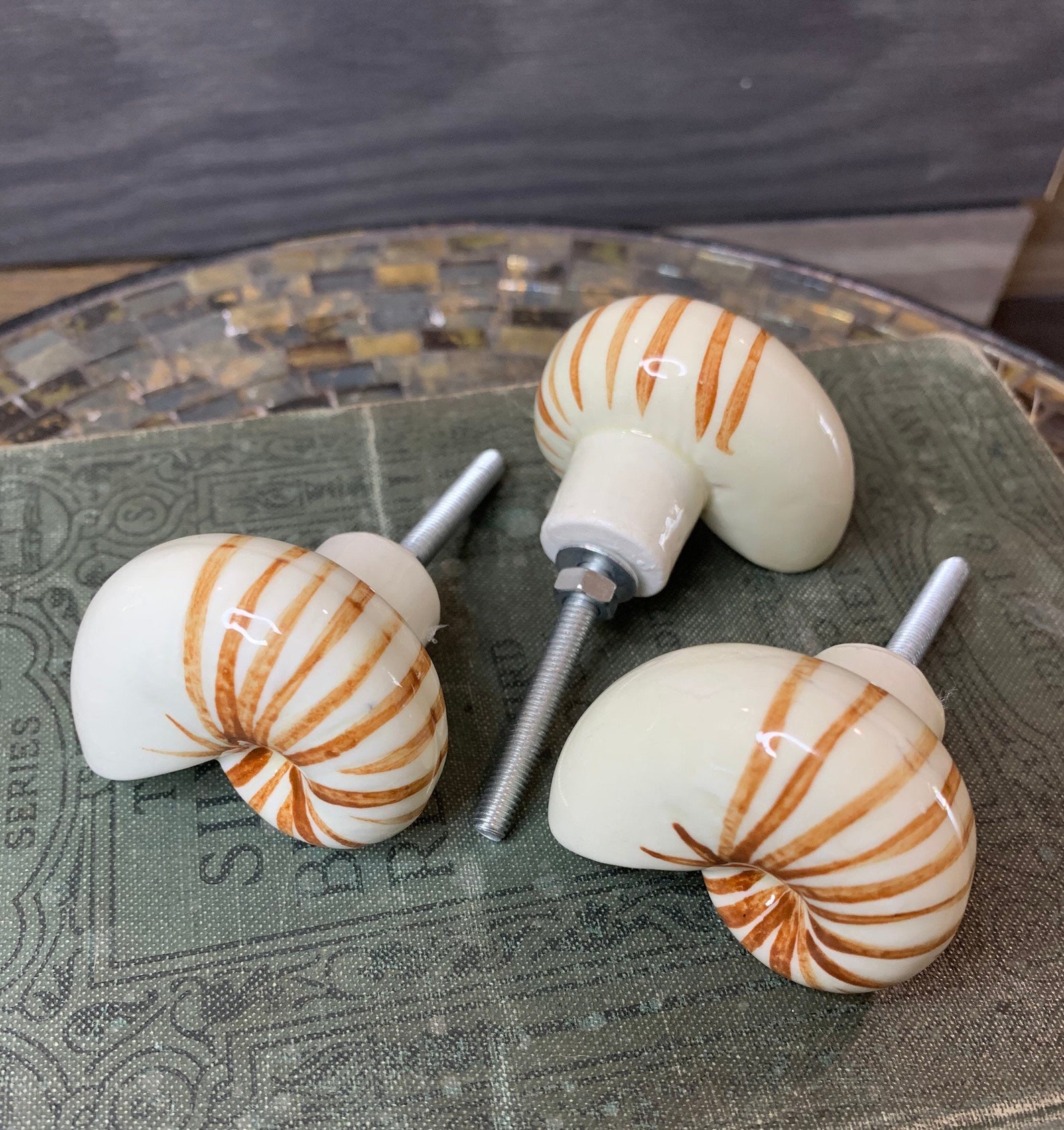 Nautilus Shell Knob Ceramic Nautilus Knob Nautical Drawer Etsy