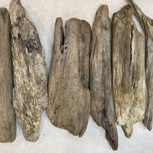 May include: A collection of six pieces of driftwood in various sizes and shapes. The driftwood is a light brown color with a weathered, natural finish.