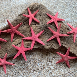 Red Tiny Starfish-1-1.5" - Starfish - Craft Supplies - Beach Decor - Beach Decor - Small Starfish - Star fish - FREE SHIPPING!