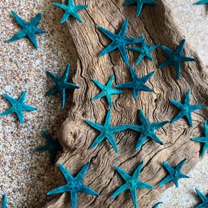 Blue Tiny Starfish .75-1&quot; - Starfish - Craft Supplies - Beach Decor - Beach Decor - Small Starfish - Star fish